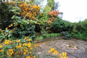Photo 17- click for photo gallery